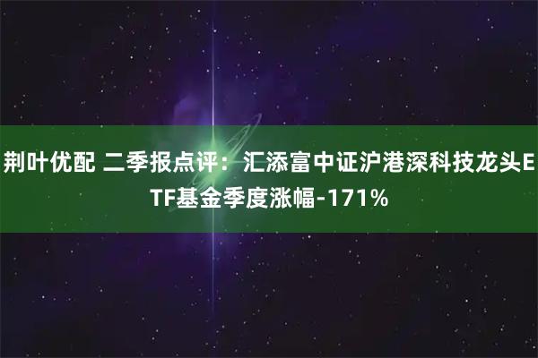 荆叶优配 二季报点评：汇添富中证沪港深科技龙头ETF基金季度涨幅-171%
